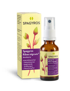 Spagyros Ribes nigrum®